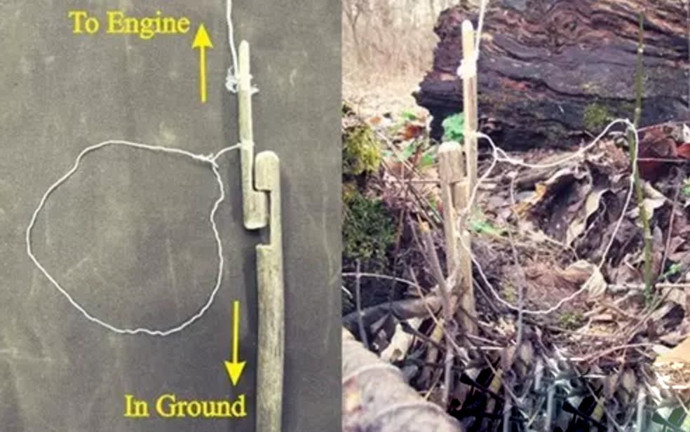 野外生存diy教你制作捕捉陷阱,野外求生陷阱简单大全
