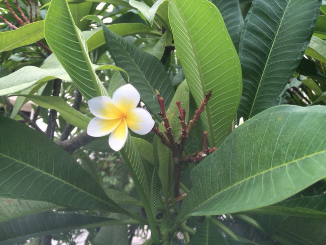 三亚结婚十周年蜜月,三亚旅游纪念日