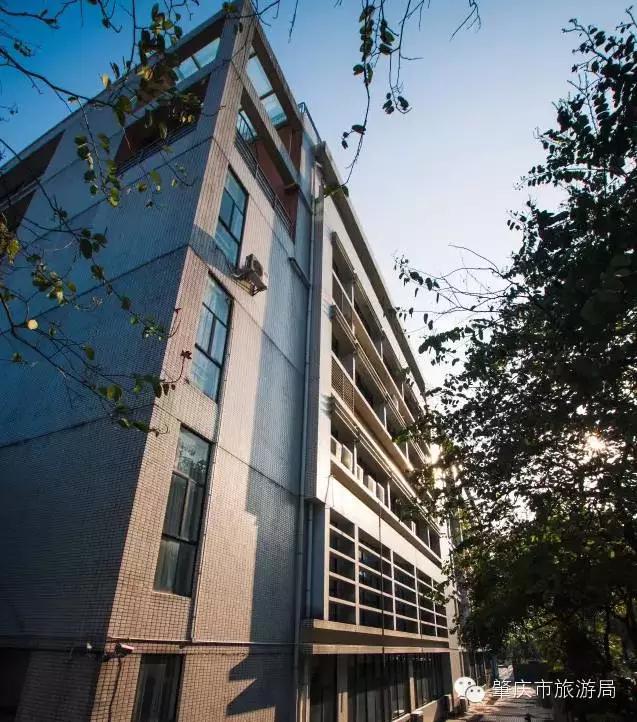 广东肇庆景色很好的大学,肇庆学院风景湖