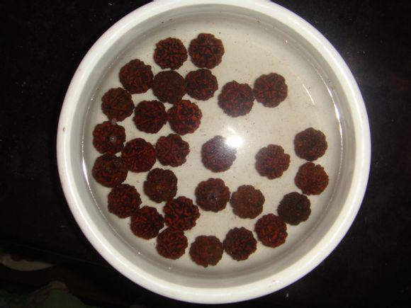 怎么清理金刚菩提的果肉,清理金刚菩提最好方法