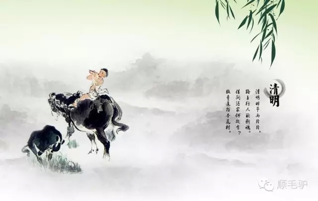 各地清明习俗,全国清明祭祖风俗