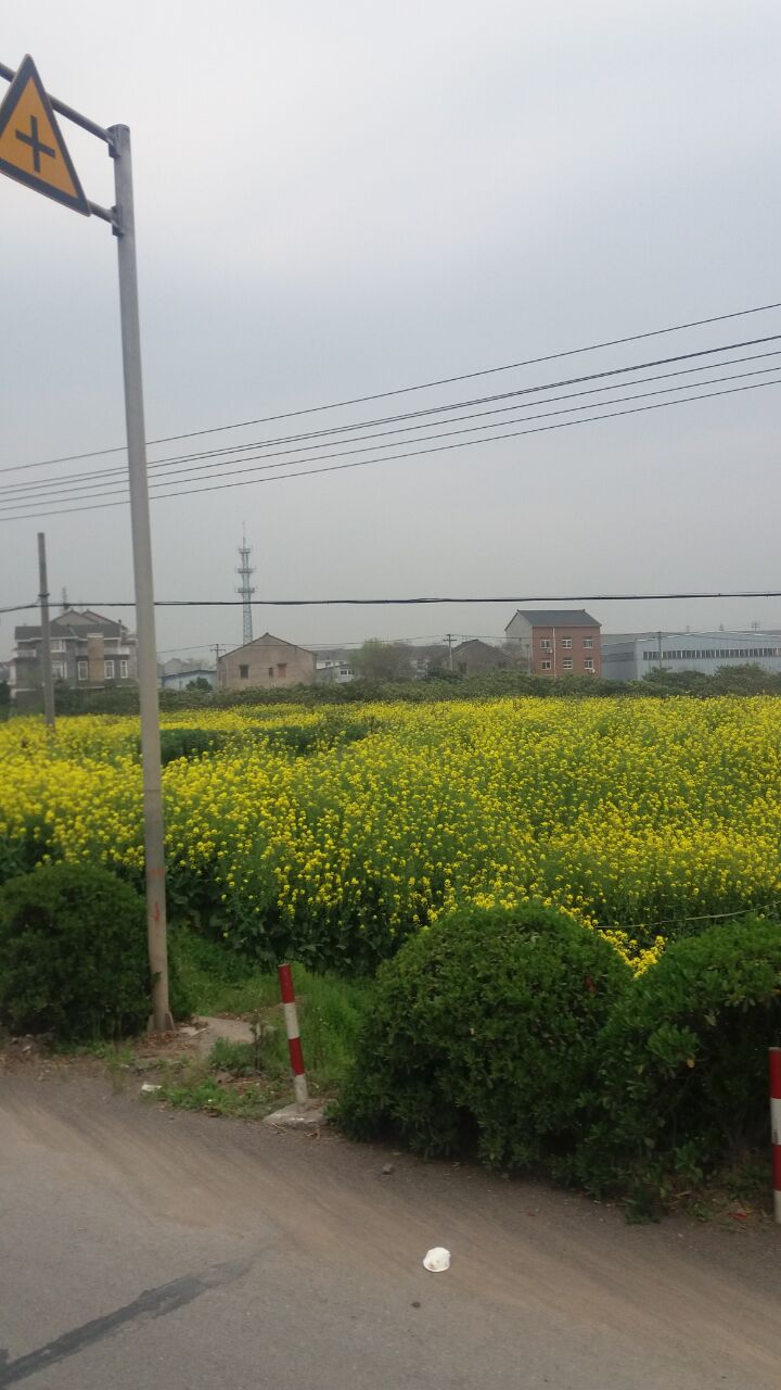 运河古镇塘栖杭州,杭州塘栖古镇周边