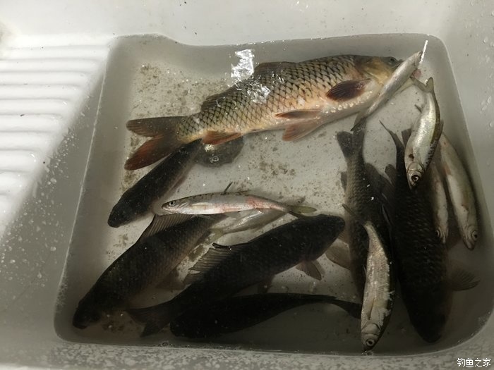 东征西讨和南征北讨,东征西讨南伐大漠