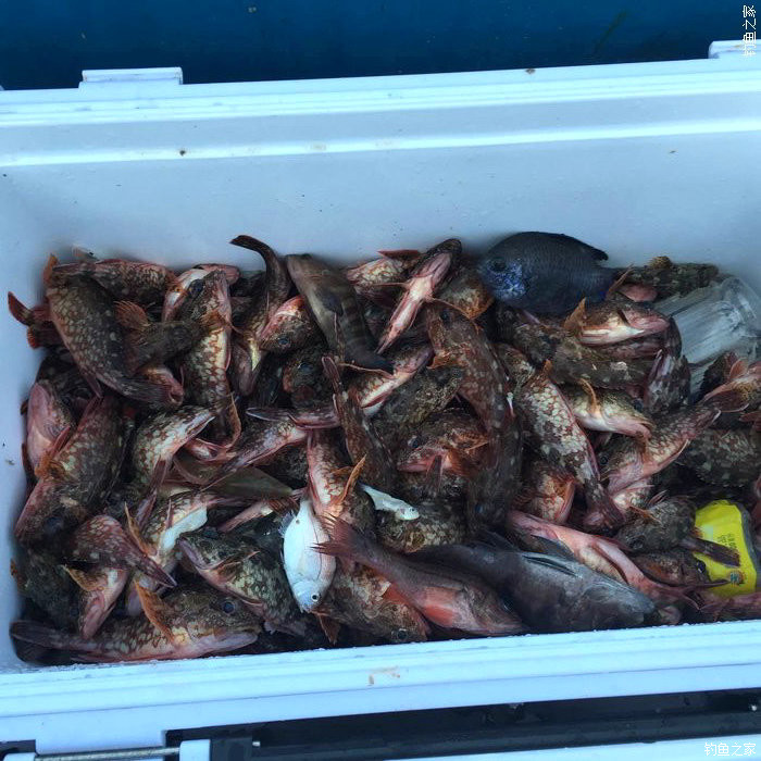 东征西讨和南征北讨,东征西讨南伐大漠