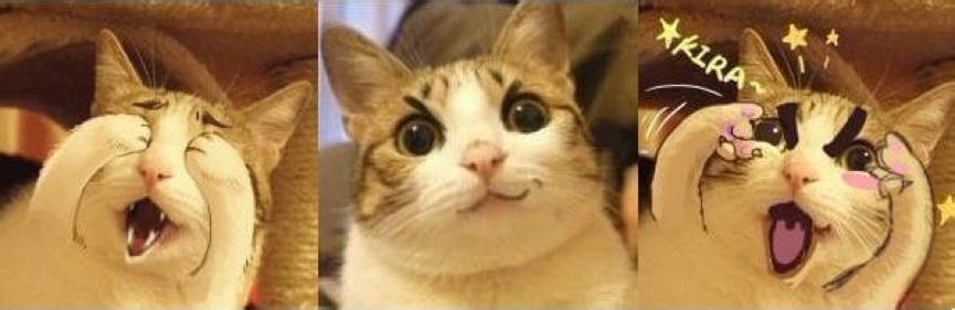 明明是一部苏到不行的男男*恋虐**片为什么让你的少女心炸裂?