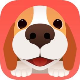 家有萌宠们的关注啦，这些app可以提高你和宠物们的生活质量
