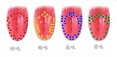 鱼去除腥味的方法,怎样煮鱼没有腥味