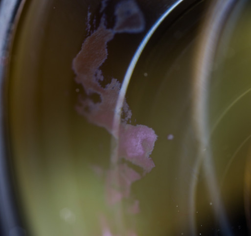 相机镜头发霉清理技巧,单反相机镜头发霉能买吗