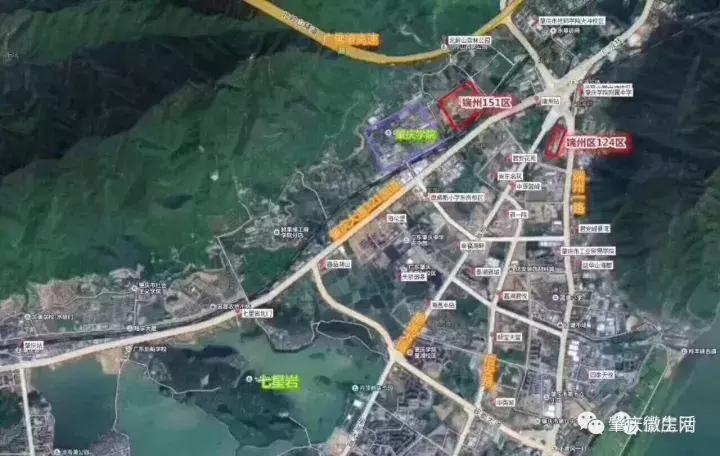 肇庆端州昨天发生的事,端州最新事件