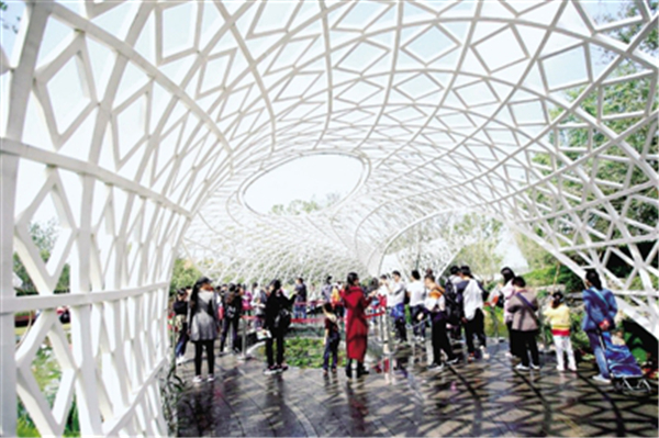 十一黄金周回顾视频,十一黄金周全集视频