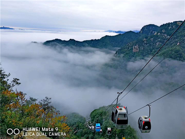 十一黄金周回顾视频,十一黄金周全集视频