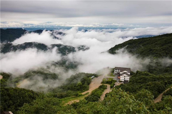 十一黄金周回顾视频,十一黄金周全集视频