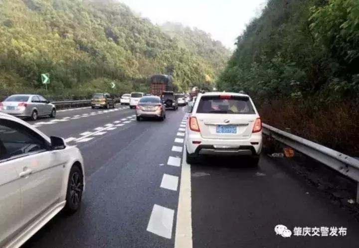 肇庆端州昨天发生的事,端州最新事件