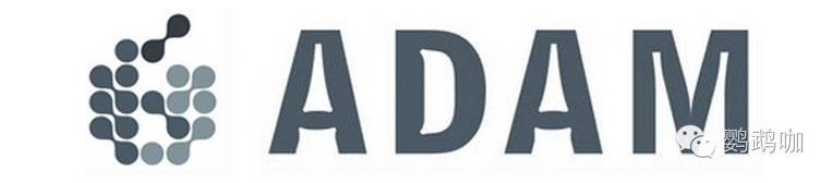 音乐人养成,音乐人养成计划