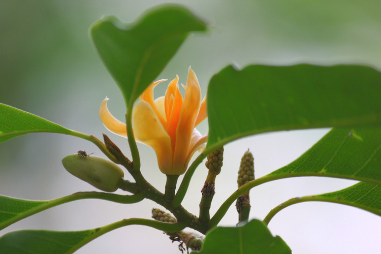 每个人都要经历的必经之路 (每个人所走的路都是必经之路)