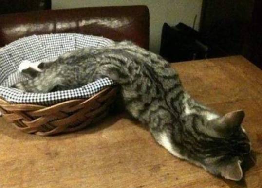 日本人使用过的毒药,日本人的神经药剂