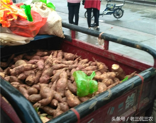 天公不作美下大雨视频,天公不作美突然下了瓢泼大雨