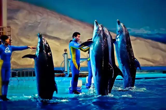 大家好这是我的家乡淮安英文,欢迎来我的家乡上海