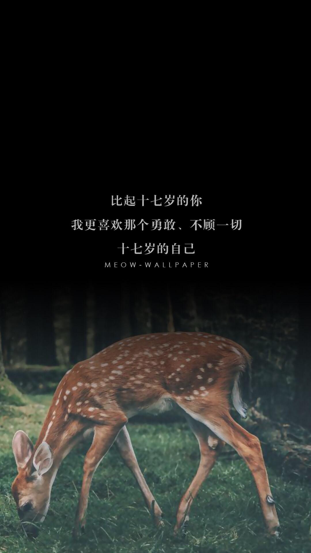 锁屏雨天壁纸动态,我很想你锁屏壁纸