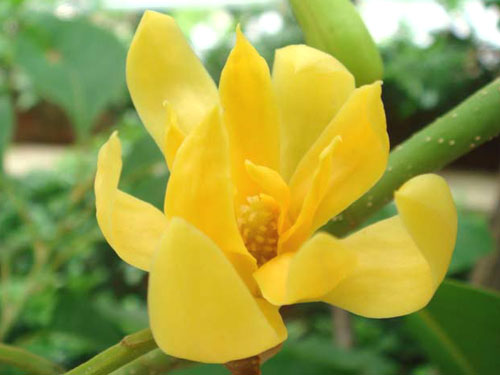 每个人都要经历的必经之路 (每个人所走的路都是必经之路)