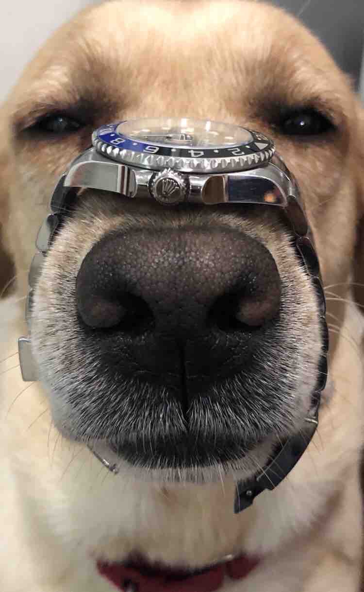 为何复刻表沦为高端人士的玩具？背后真实原因令人不胜唏嘘！