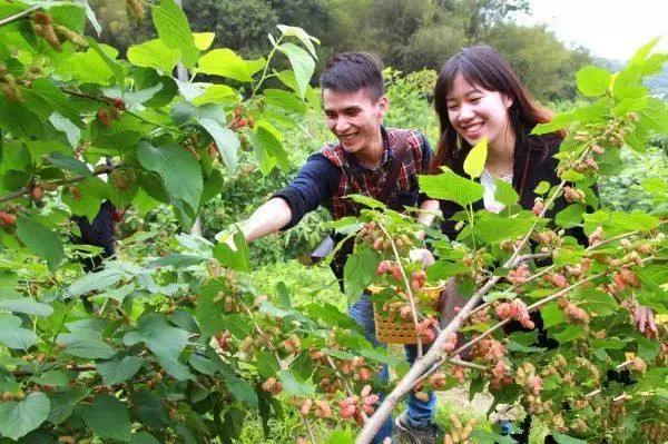 肇庆端州昨天发生的事,端州最新事件