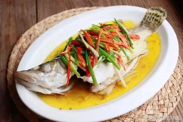 钓猪的方法和技巧,钓鬼婆鱼技巧