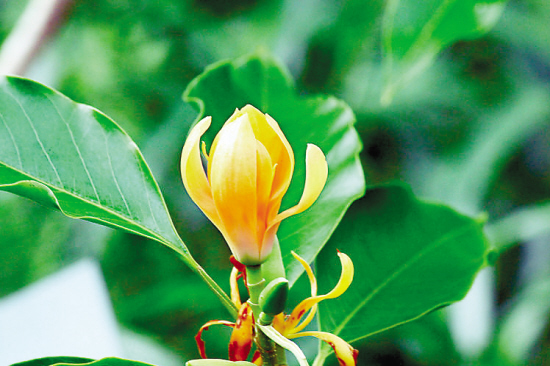 每个人都要经历的必经之路 (每个人所走的路都是必经之路)