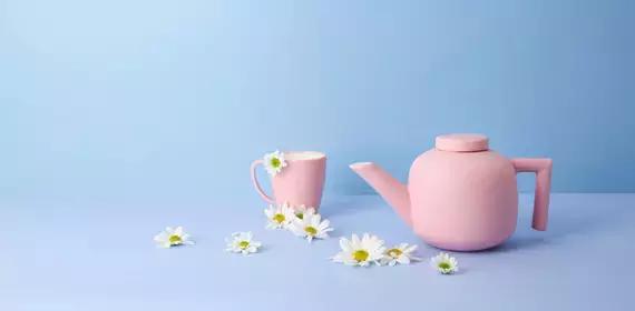 还在喝矿泉水？电热水壶给你健康的饮水生活