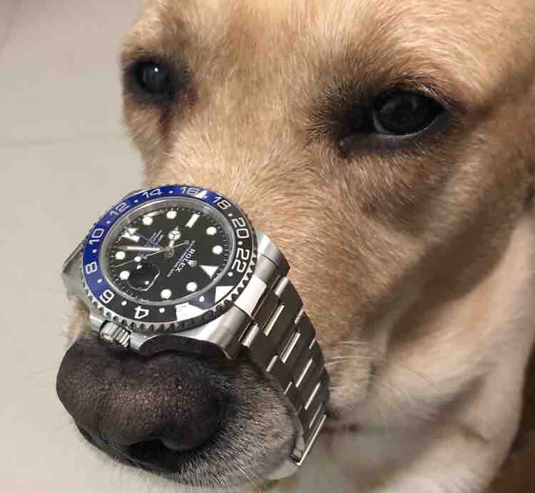 为何复刻表沦为高端人士的玩具？背后真实原因令人不胜唏嘘！