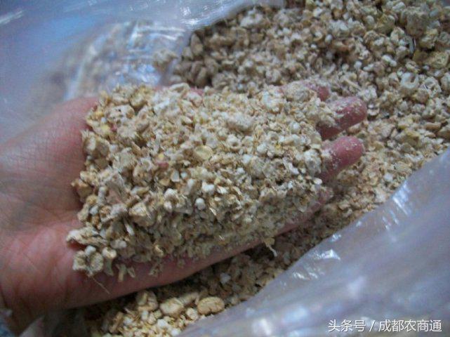 玉米发霉怎么挽救,玉米发霉用什么药最好