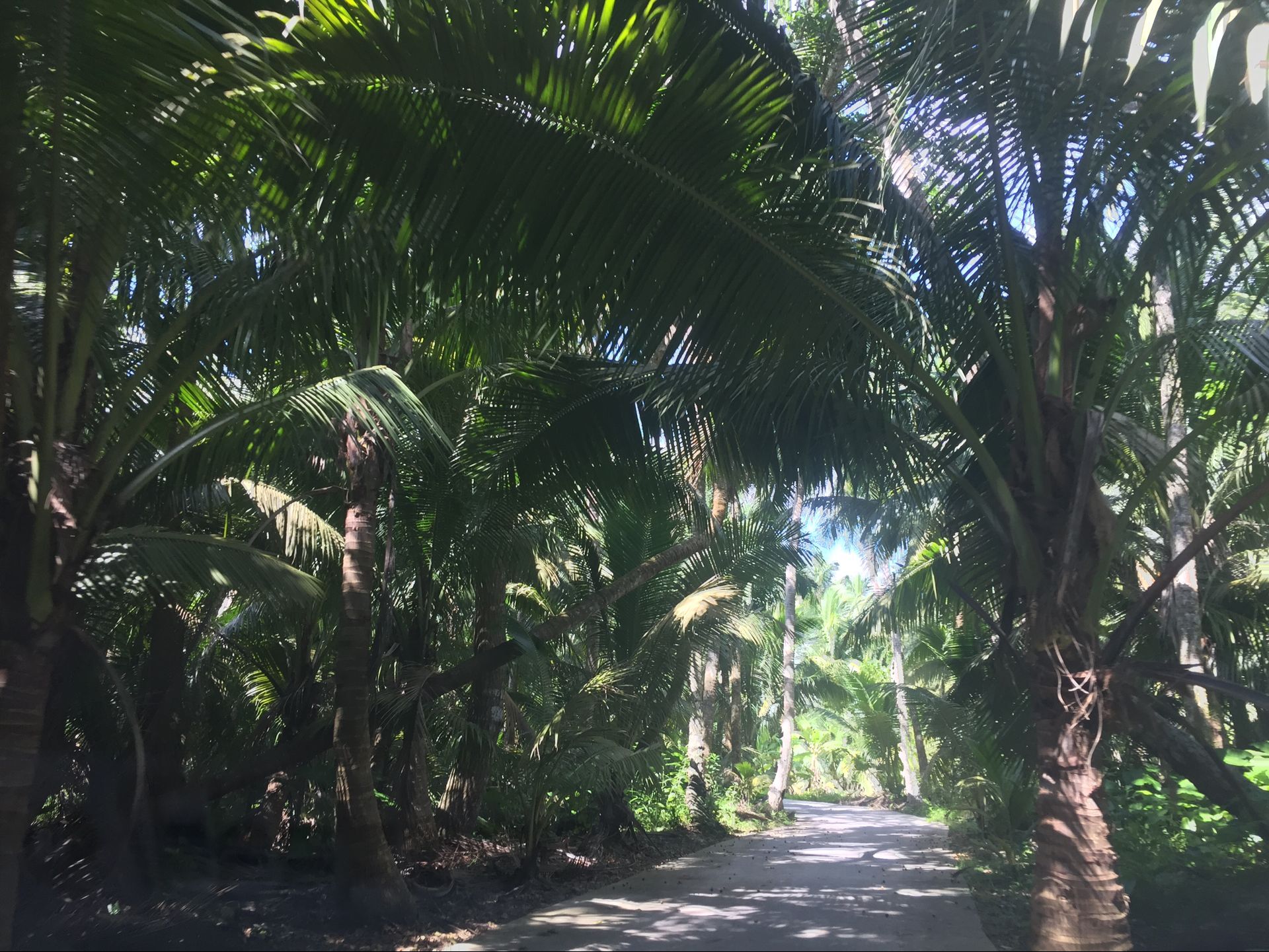 候鸟在海南过冬怎么在网上找房子,北方候鸟海南过冬