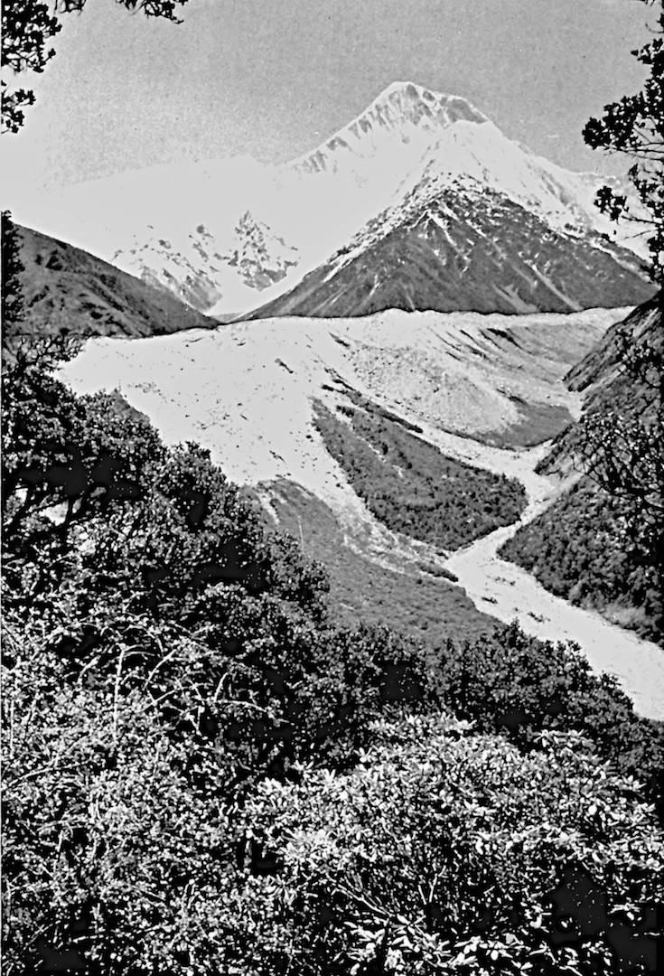 攀登贡嘎雪山死亡率,贡嘎雪山主峰有人登顶过吗