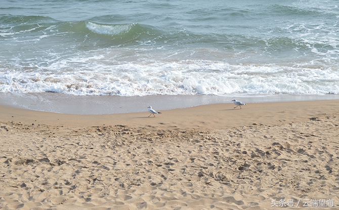 北戴河一天游玩时间安排,北戴河的错峰景点