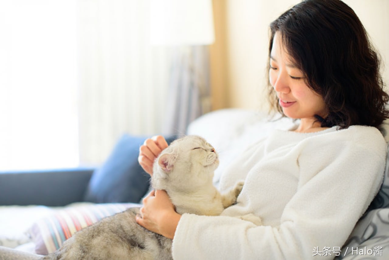 猫咪的尾巴根部为什么特别敏感,猫咪后背的毛能推吗