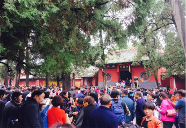 十一黄金周回顾视频,十一黄金周全集视频