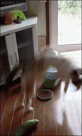 日本人使用过的毒药,日本人的神经药剂