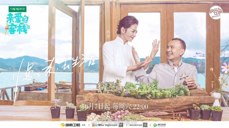 亲爱的客栈被骂上热搜,亲爱的客栈遭吐槽