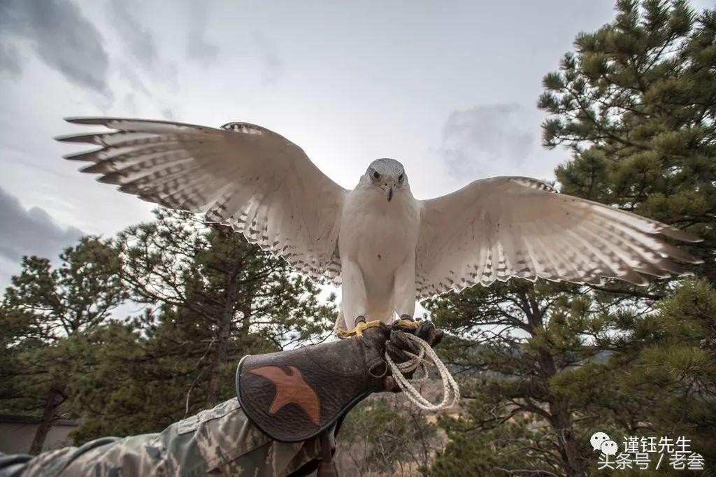 美国最豪华的军校,美国军校有哪些