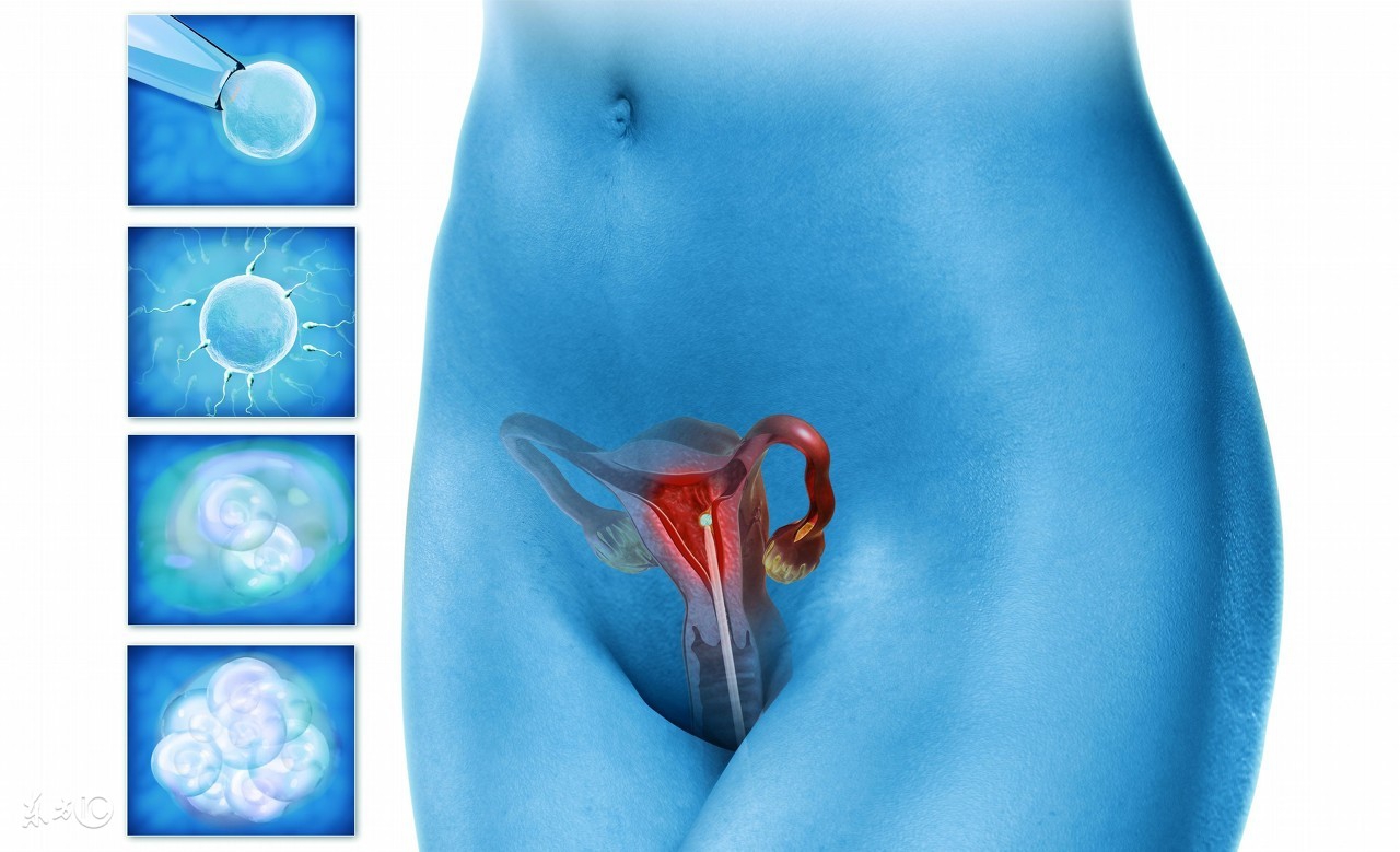 不孕和精子有关系吗,不孕主要是子宫内膜薄吗