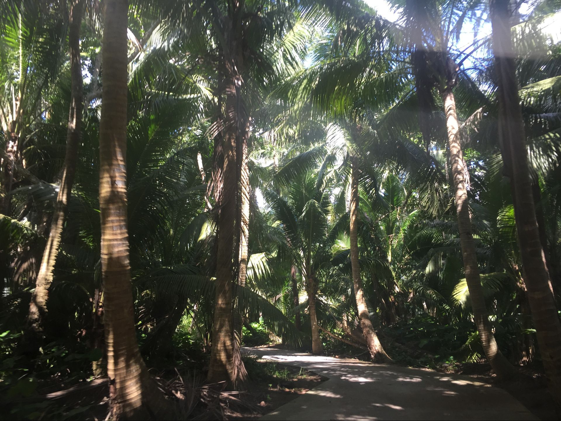 候鸟在海南过冬怎么在网上找房子,北方候鸟海南过冬