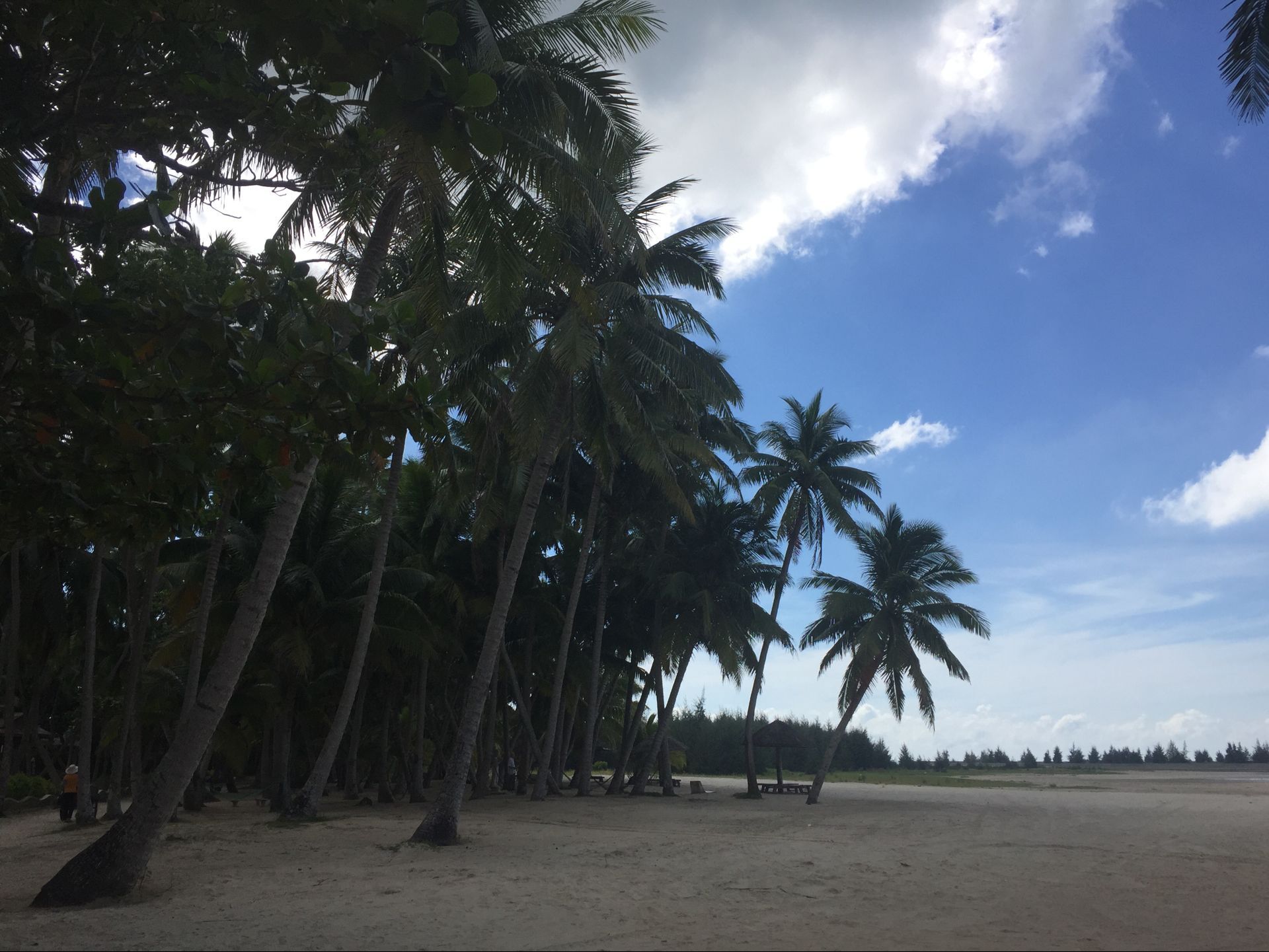 候鸟在海南过冬怎么在网上找房子,北方候鸟海南过冬