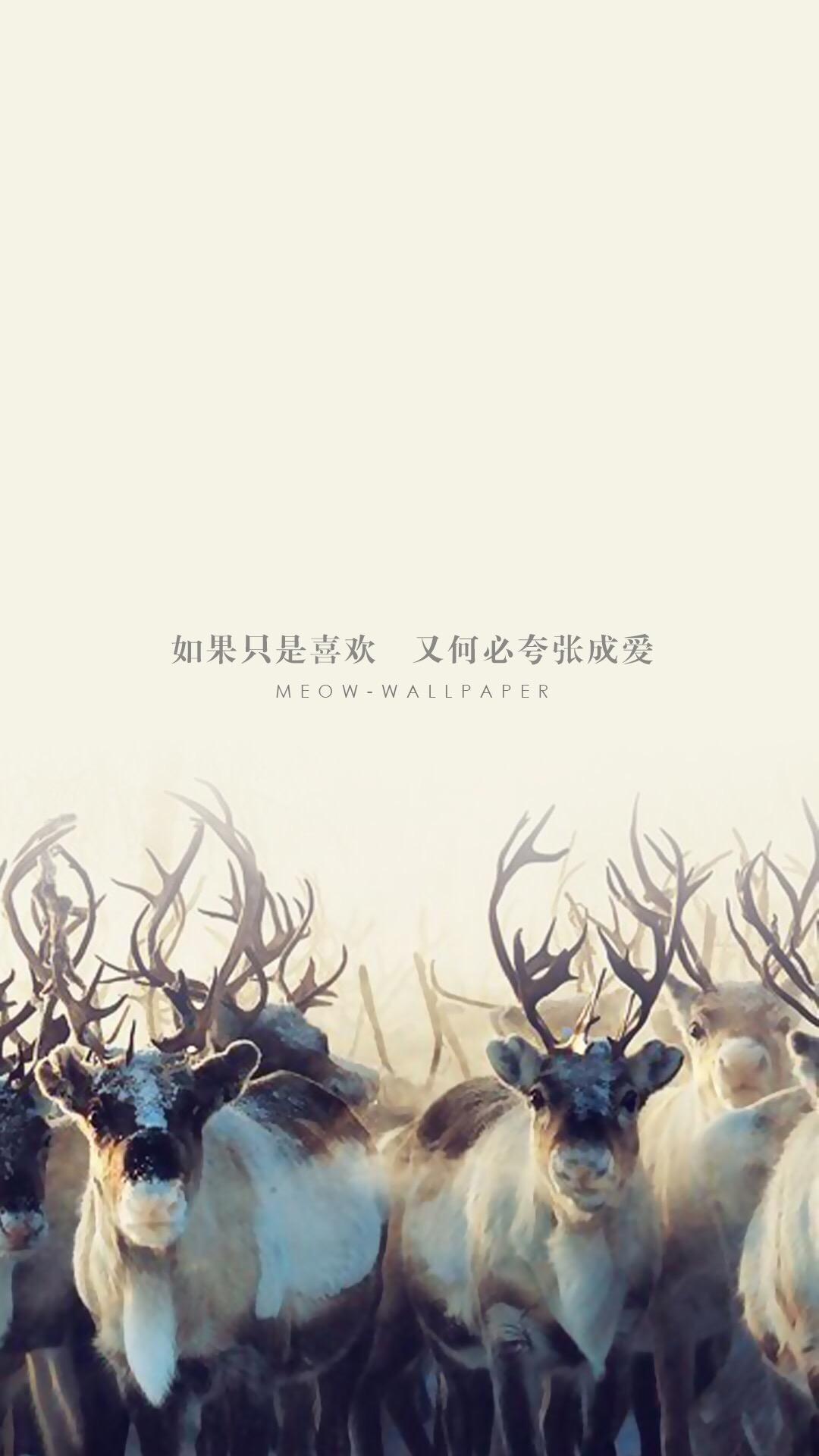 锁屏雨天壁纸动态,我很想你锁屏壁纸