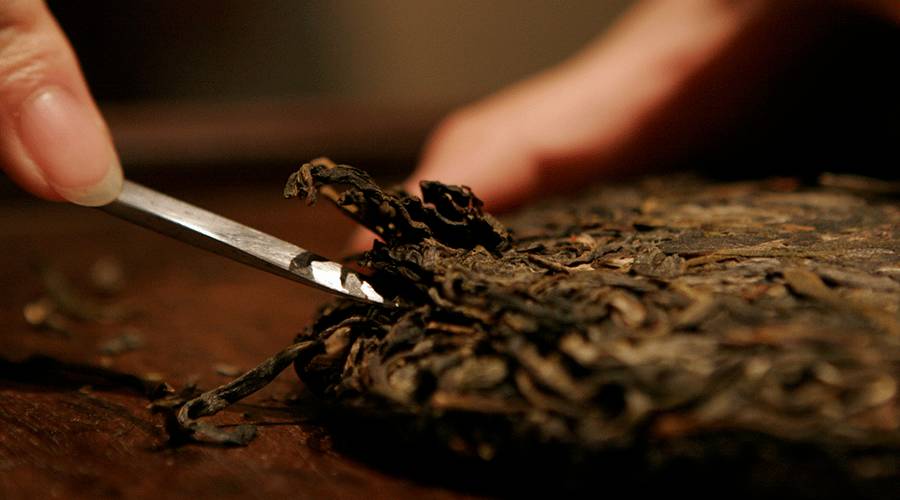 如何撬开一饼普洱茶，手把手教程