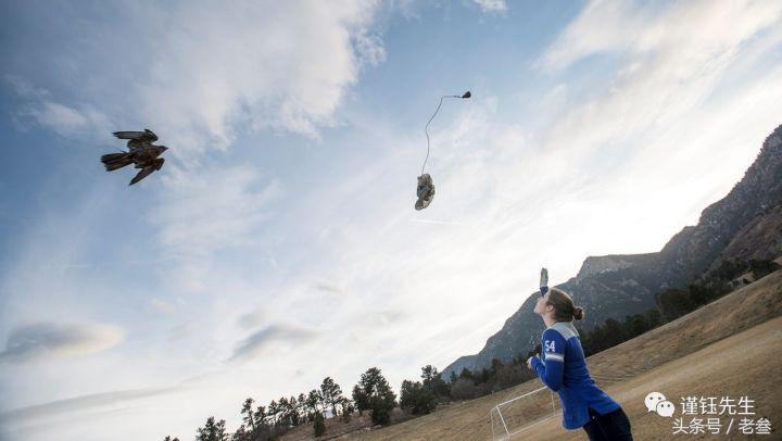 美国最豪华的军校,美国军校有哪些