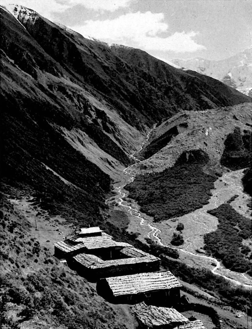 攀登贡嘎雪山死亡率,贡嘎雪山主峰有人登顶过吗