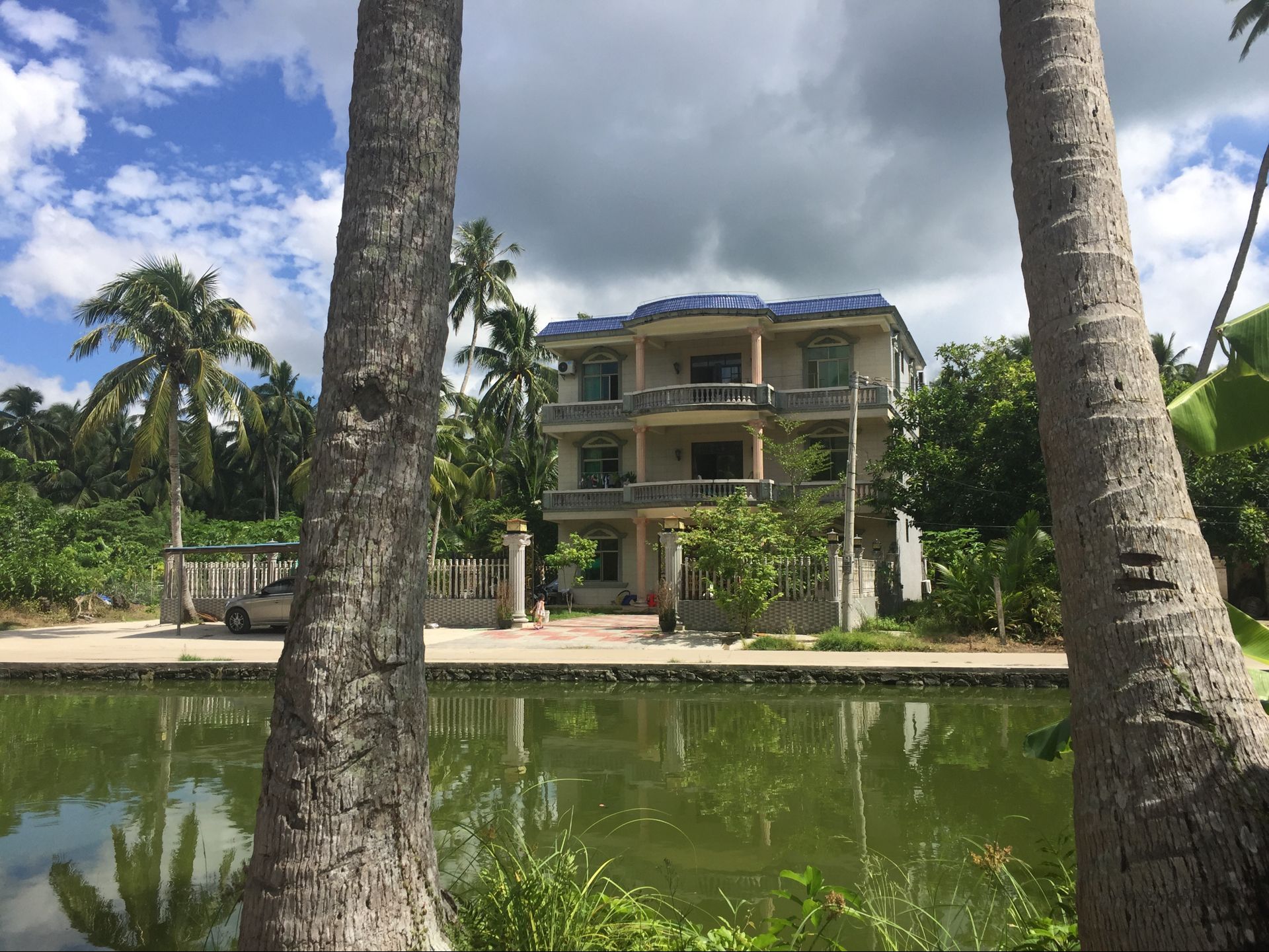 候鸟在海南过冬怎么在网上找房子,北方候鸟海南过冬