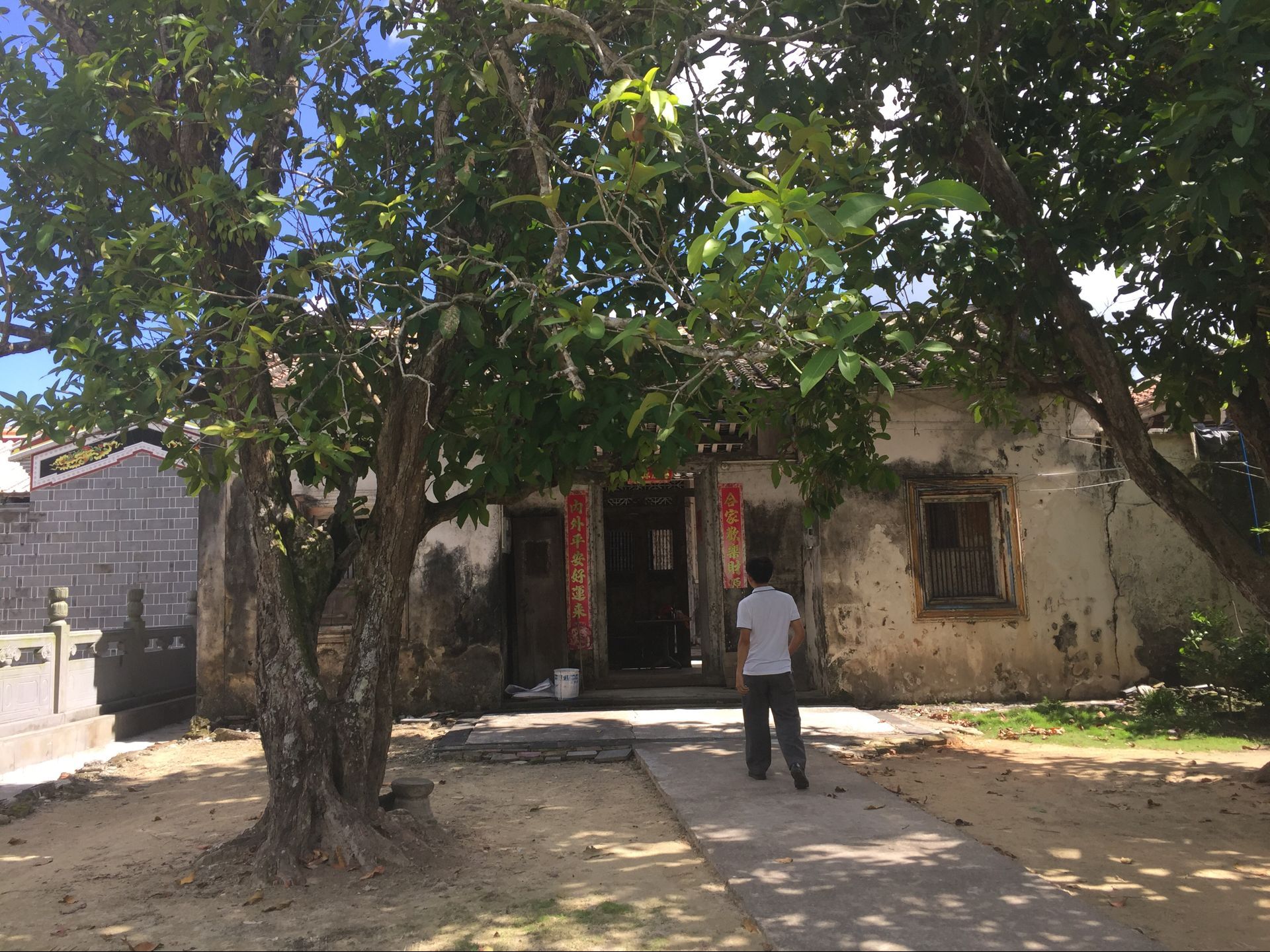 候鸟在海南过冬怎么在网上找房子,北方候鸟海南过冬