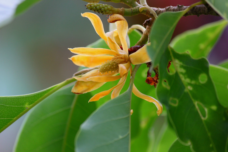 每个人都要经历的必经之路 (每个人所走的路都是必经之路)