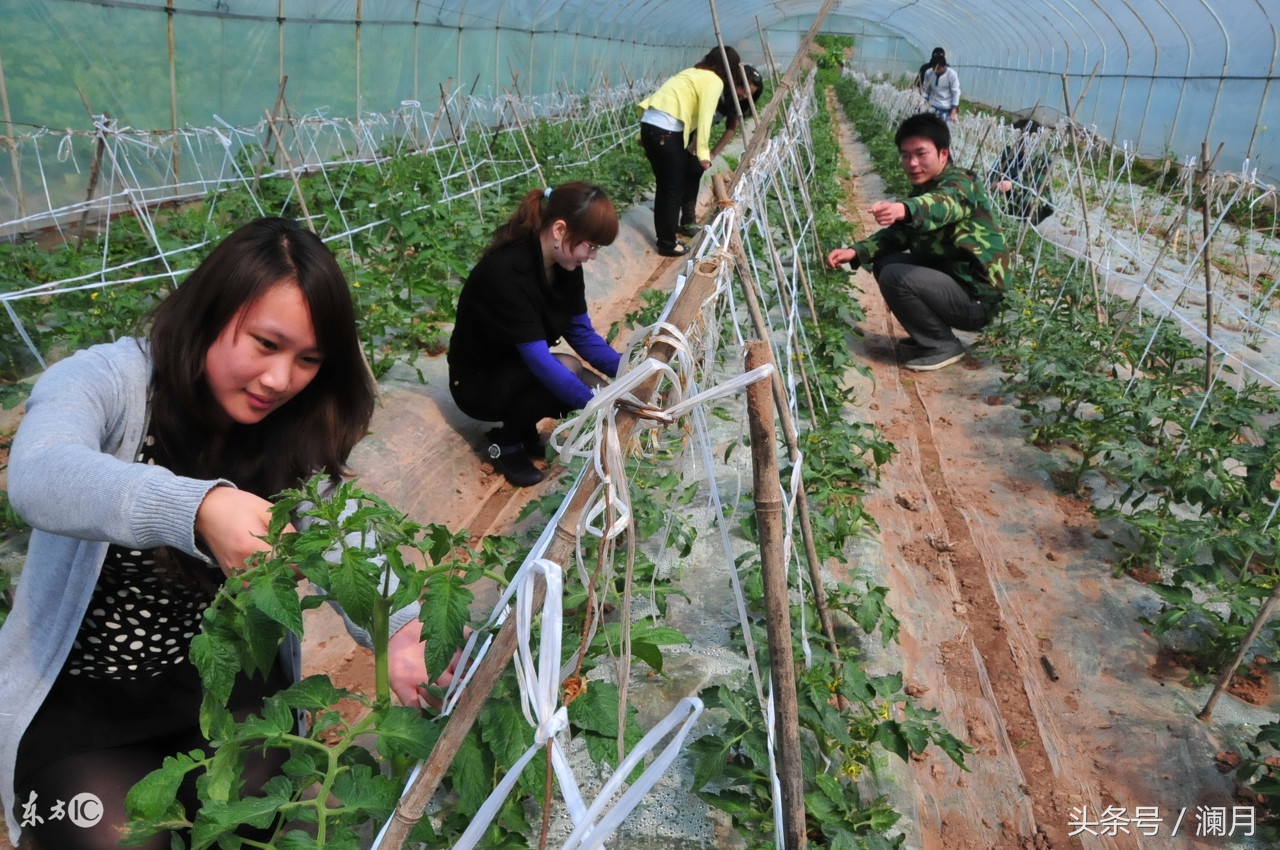 2020最赚钱的行业有哪些排行榜,2019最赚钱的十大行业